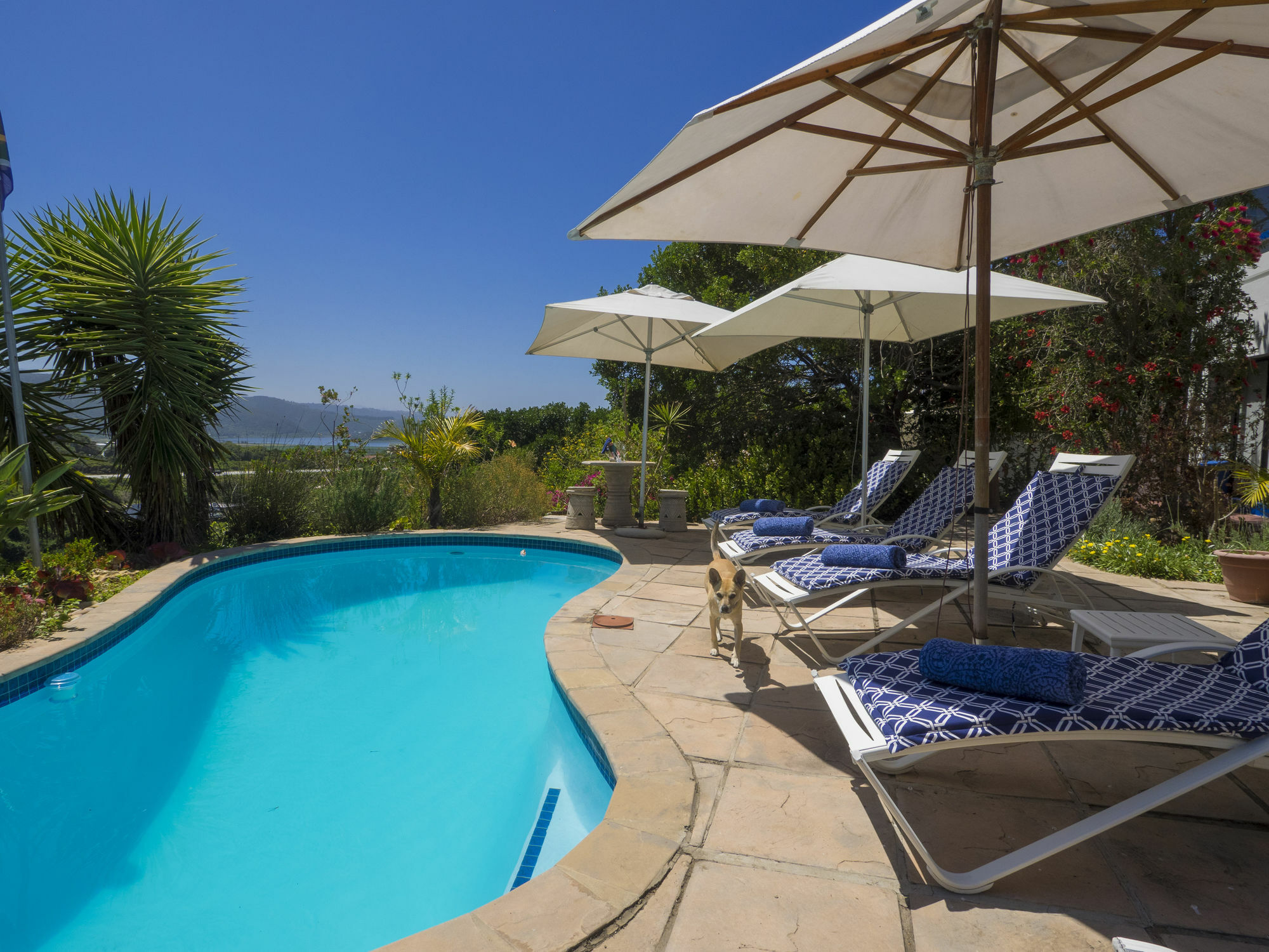 ווילדרנס Shining Waters Guest House מראה חיצוני תמונה